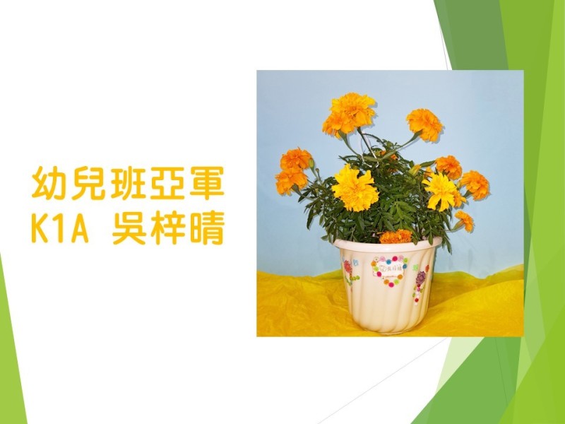 投影片3