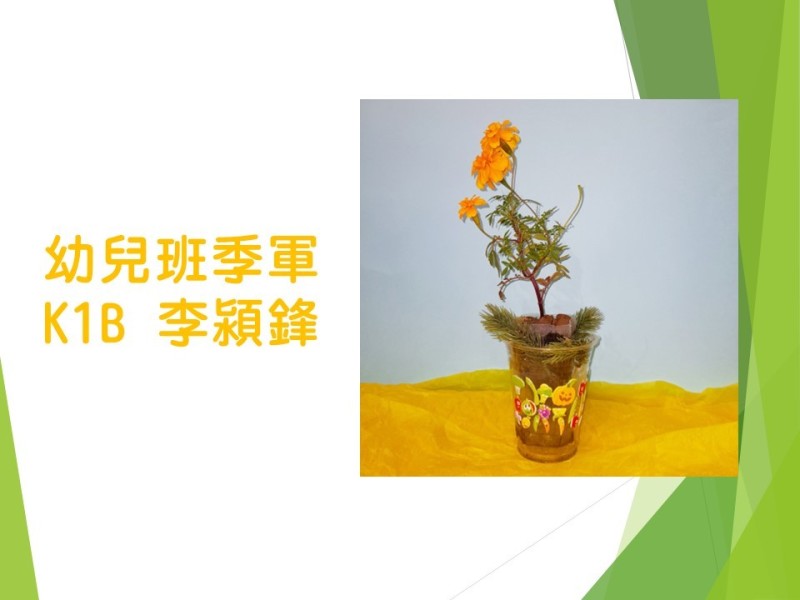 投影片4