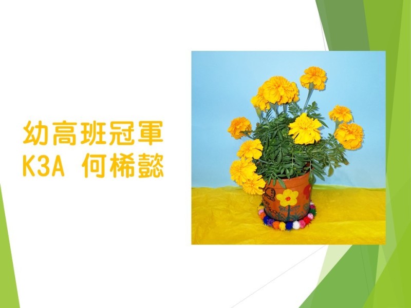 投影片8