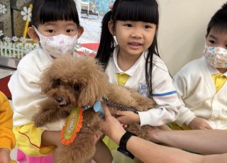 「寵 .一世 _ 幼童守護動物講座」