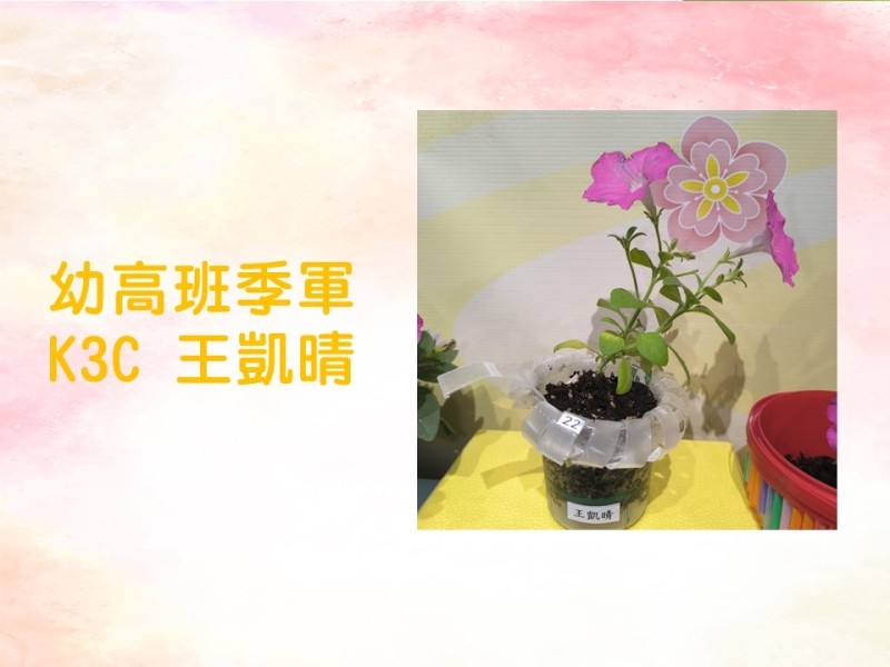 投影片10