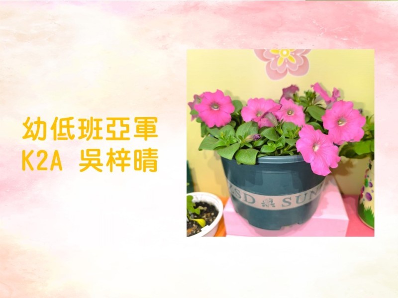 投影片6