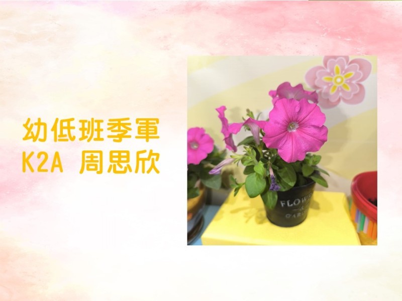 投影片7