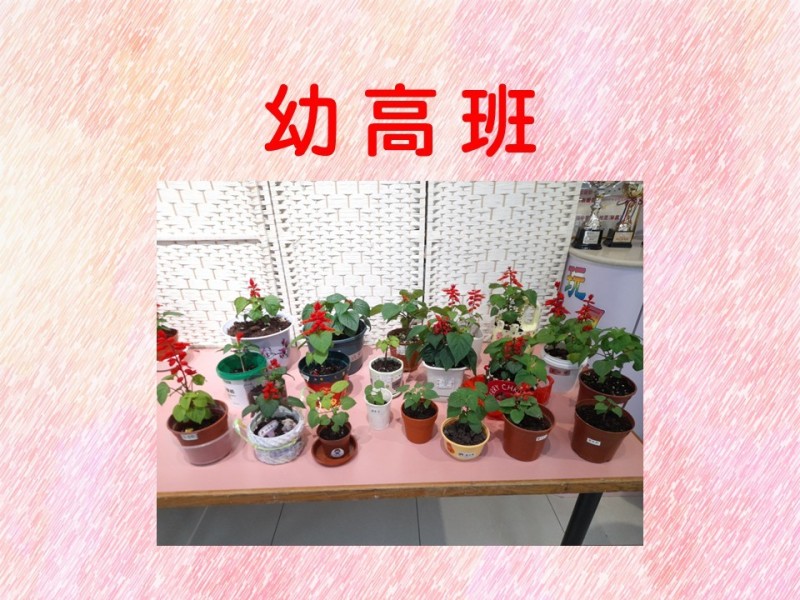 投影片10