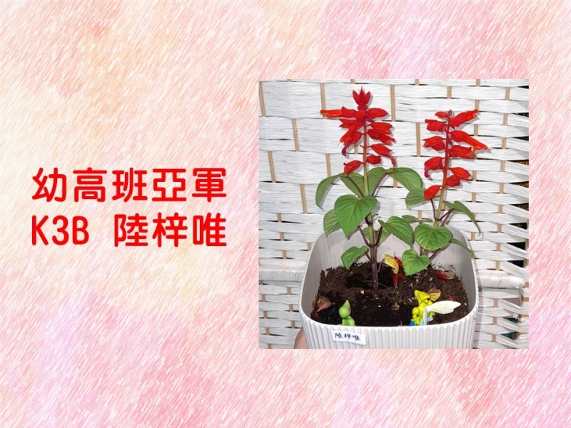 投影片12