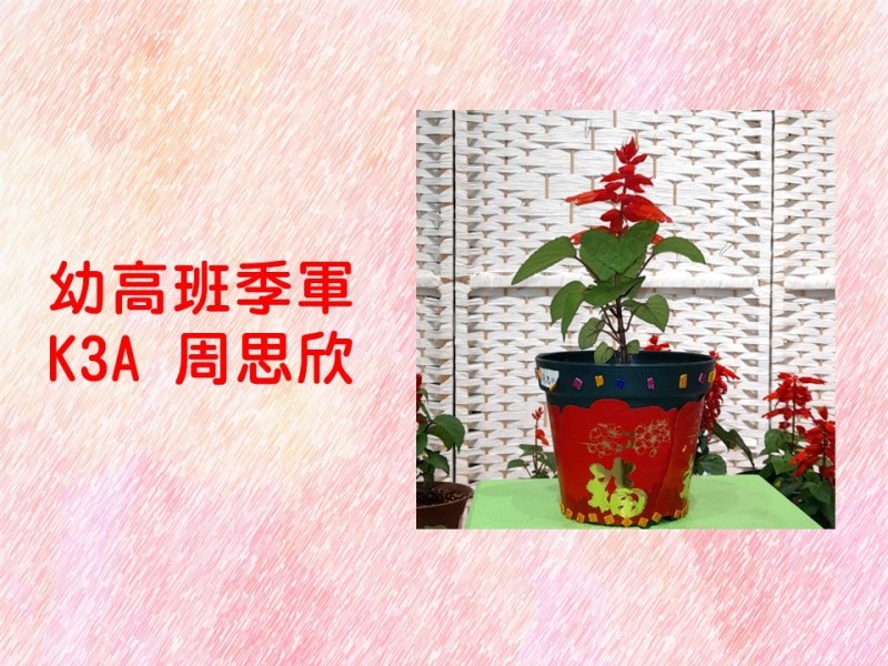 投影片13