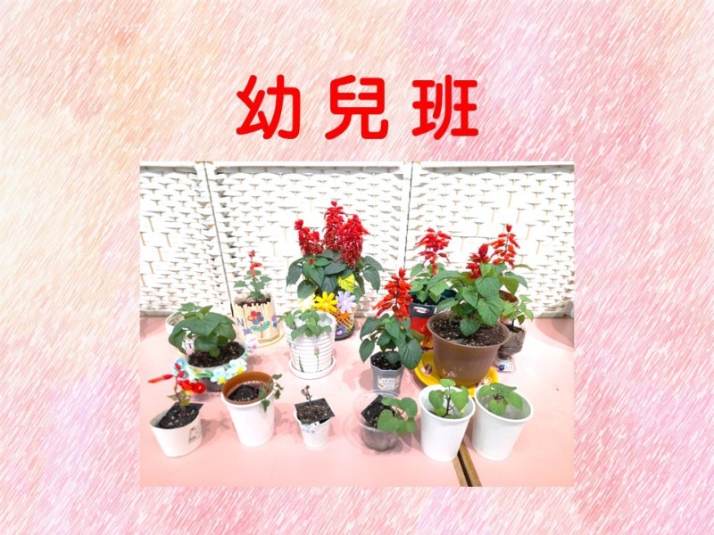 投影片2
