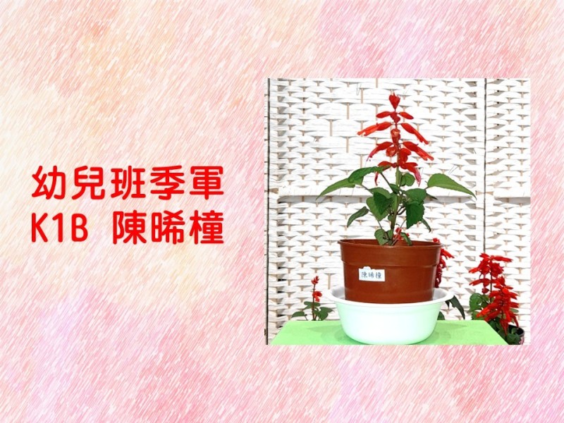 投影片5