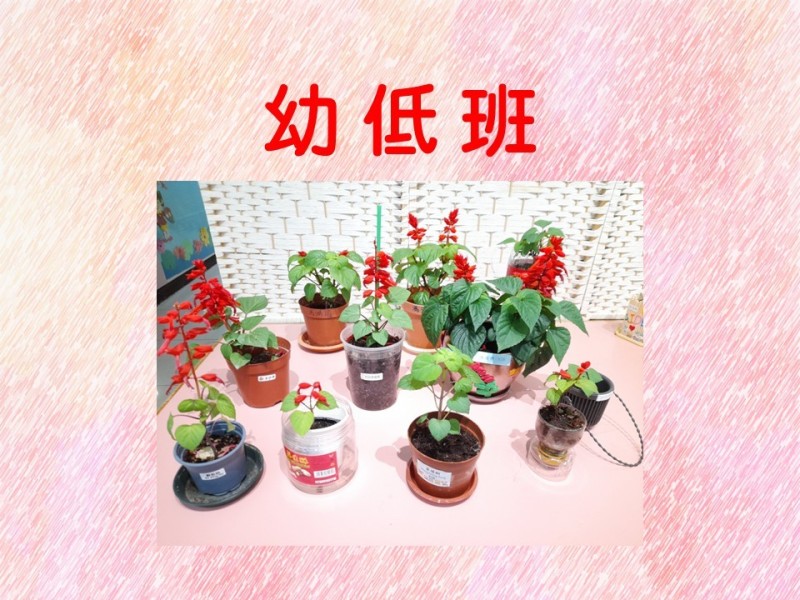 投影片6