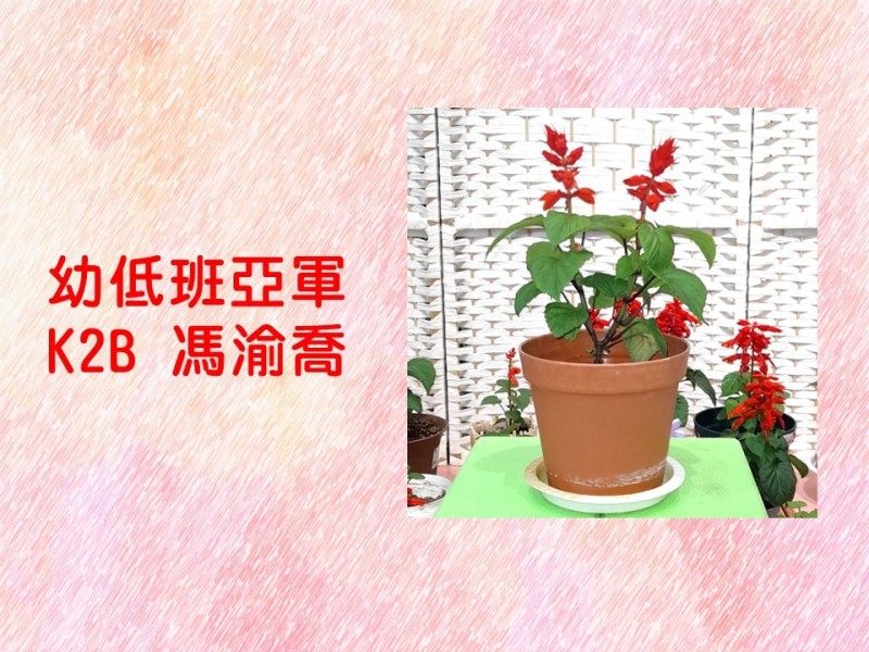 投影片8