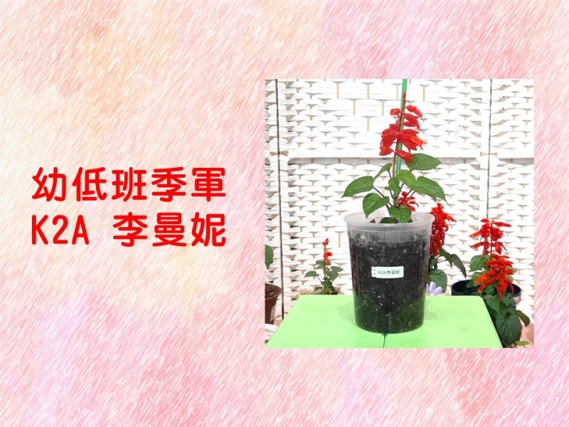 投影片9