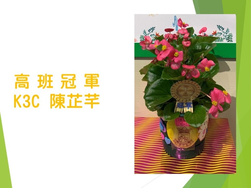 一人一花獎