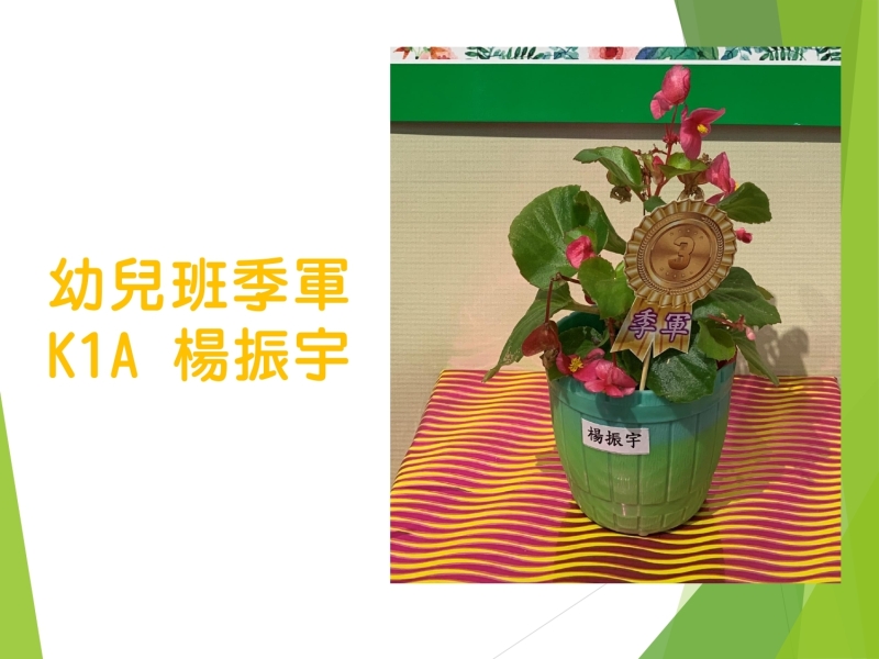一人一花獎_page-0003