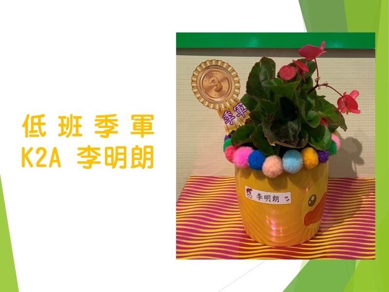 一人一花獎_page-0006