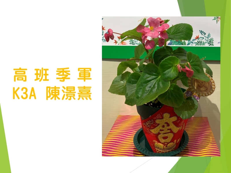 一人一花獎_page-0009